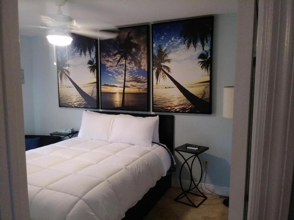Tampa Bay Beautiful Apartment And Private Jacuzzi Exterior photo
